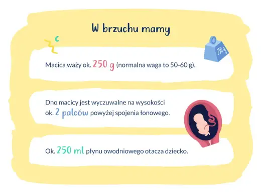 19. tydzień ciąży - Rozwój dziecka, pierwsze ruchy i co jest normą?