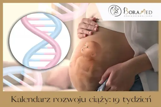 19. tydzień ciąży - Który to miesiąc? Rozwój dziecka i badania