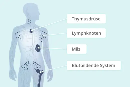 Non-Hodgkin-Lymphom: Symptome, Diagnose & Therapie verstehen