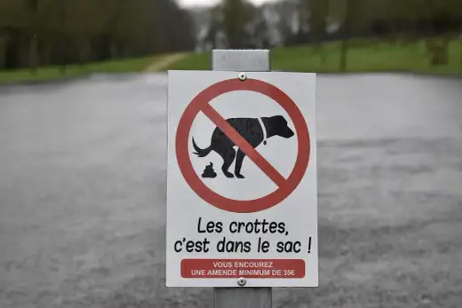 Caca de chien - Gérer les déjections pour des sorties sereines