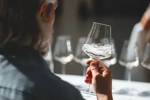 Vini Bianchi Alto Adige - Guida Definitiva per Scegliere Bene