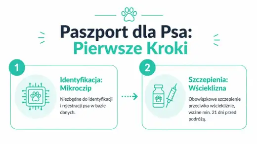 Paszport dla psa - jak go wyrobić przed wyjazdem?