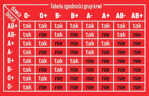 Typ krwi - jak czytać wynik ABO i Rh?