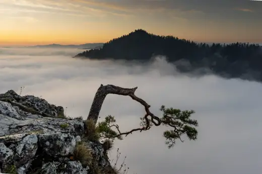 Pieniny - Gdzie nocować i co zobaczyć? Plan idealny!