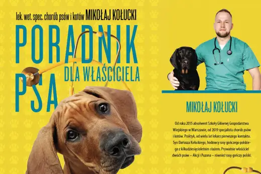 Pies boi się właściciela? Odbuduj zaufanie - Poradnik