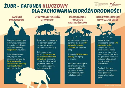 Ile procent ma Żubr - Dlaczego dane w sieci bywają mylące?