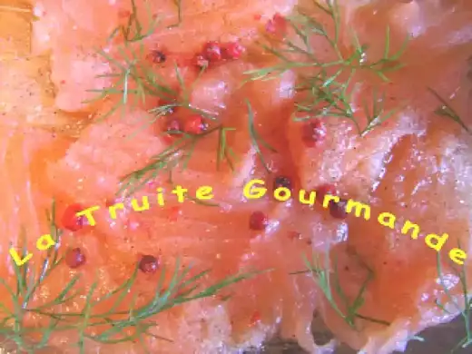 Carpaccio de truite - Le guide pour une entrée parfaite