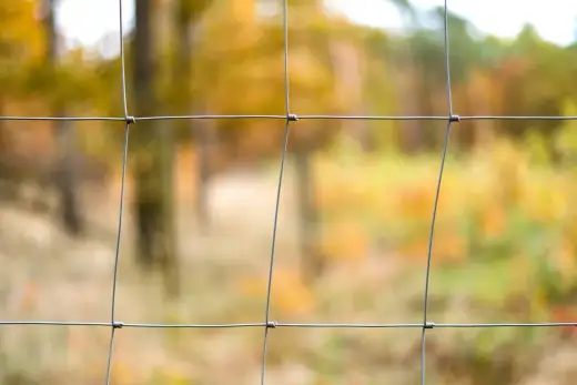 Siatka leśna - Kiedy warto? Montaż, koszty i błędy do uniknięcia