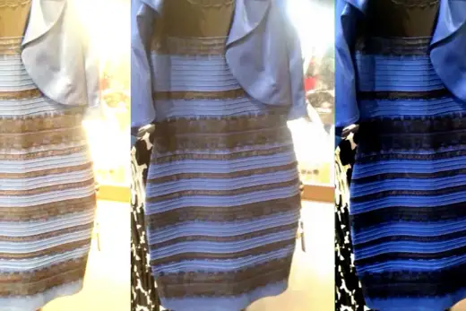 What Color Is The Internet? Beyond Blue & Neutrals
