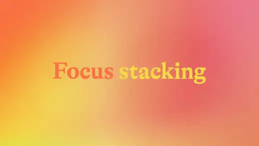 Focus stacking - jak uzyskać idealną ostrość w makro i produktach?