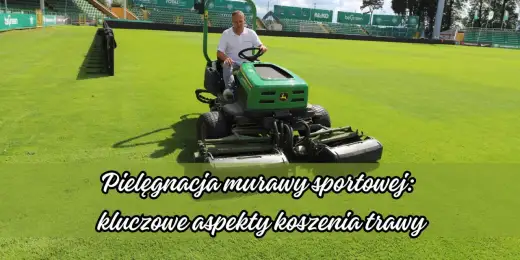 Jaka wysokość koszenia trawy? Poznaj sekret zdrowej murawy!