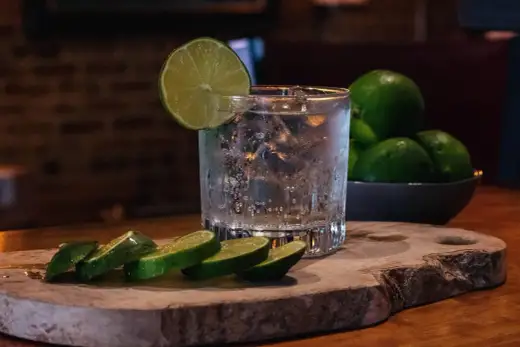 Gin Tonic perfekt mixen - So gelingt der beste Drink