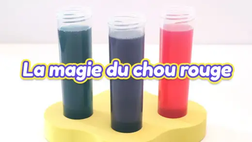 Comment tester le pH de l’eau avec du chou rouge ?
