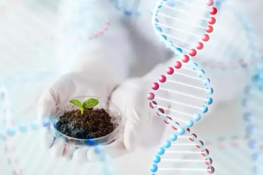 Praca w biotechnologii - Ile można zarobić i jak zacząć karierę?