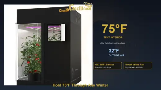 Riscaldare il Grow Box - Guida Completa per Risultati al Top