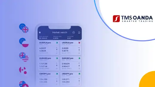 Oferta walutowa TMS - Czy to lepsze niż bank? Analiza kosztów