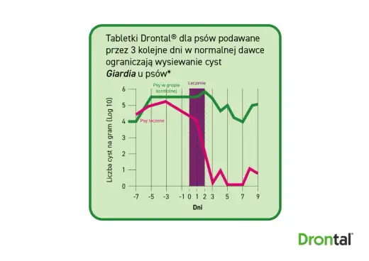 Giardia u psa - Objawy, leczenie i jak uniknąć nawrotów?