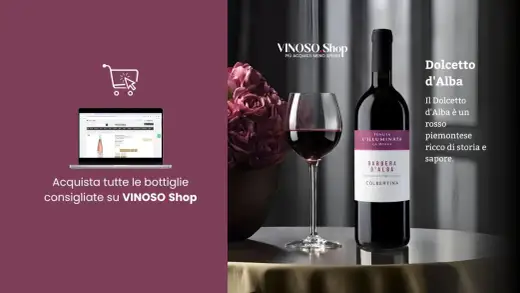 Vini rossi piemontesi - Guida completa per scegliere e abbinare