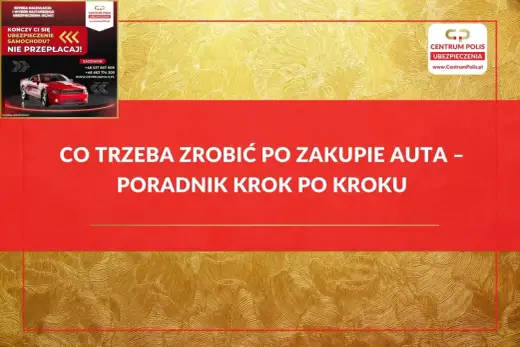 Co zrobić po zakupie samochodu? Formalności, OC i rejestracja