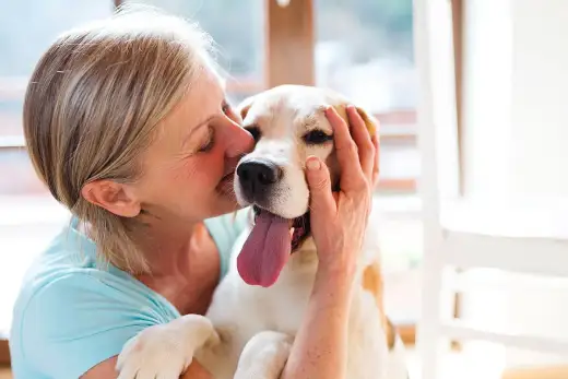 Cure thermale avec son chien - bien choisir sa station et son logement