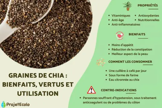 Graines de chia - Bienfaits, dosage et comment bien les consommer ?