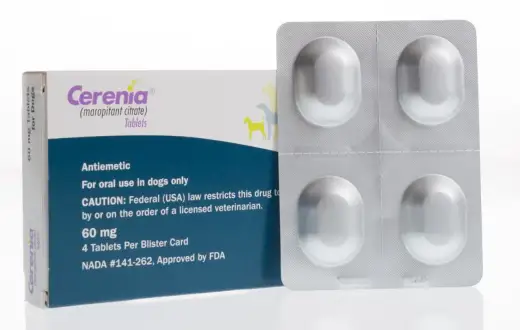Cerenia dla psa - Jak dawkować maropitant i na co uważać?