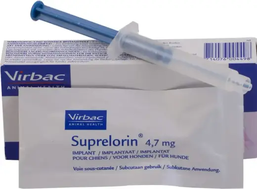 Chemiczna kastracja psa - kiedy warto wybrać implant z deslorelina?