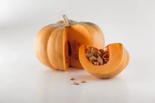 Seminare la Zucca - Guida Completa per un Raccolto Ricco
