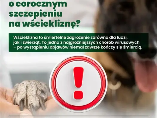 Wścieklizna - Szybka reakcja ratuje życie. Sprawdź, co robić!