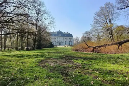 Pszczyna w weekend - Zamek, żubry i skansen bez pośpiechu