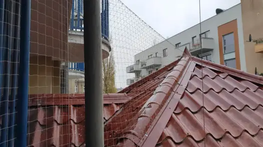Jak humanitarnie pozbyć się ptaków z elewacji? Skuteczne metody