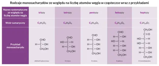 Monosacharydy - czym są i jak odróżnić je od cukrów złożonych?