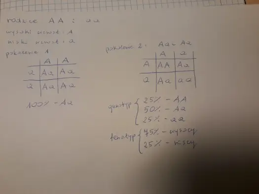 Genotyp a Fenotyp - Poznaj różnice i rozwiąż krzyżówki!