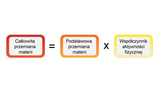 Całkowita przemiana materii - Jak ją obliczyć i mądrze schudnąć?