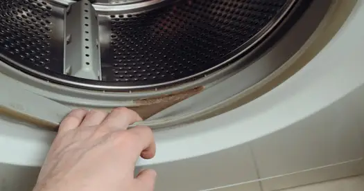 Jak wyczyścić uszczelkę pralki z pleśni bez jej uszkodzenia?