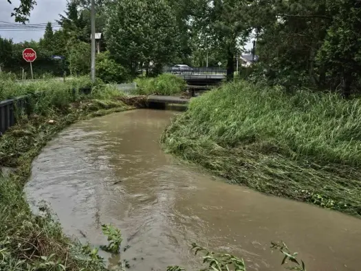 Kraków w walce z klimatem: jak energia i gospodarka wodna zmieniają miasto