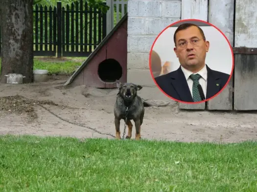 Dofinansowanie na hodowlę psów: Jak zdobyć środki w 2026?