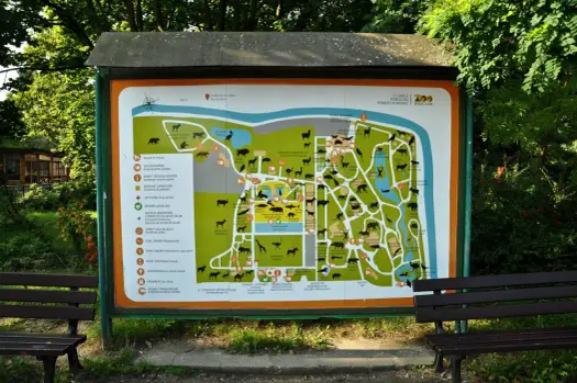 Ile czasu na Zoo Wrocław? Plan zwiedzania i Afrykarium