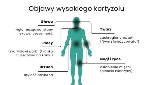 Zespół Cushinga - nadmiar kortyzolu? Objawy, leczenie, wsparcie