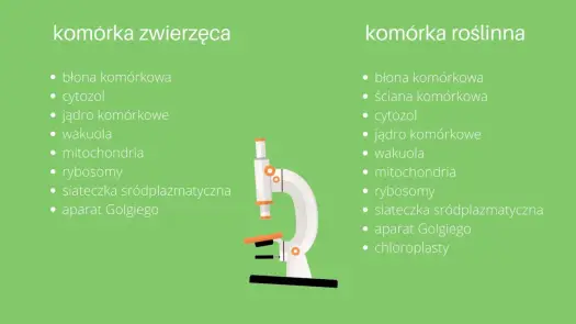 Komórka zwierzęca - Jak rozpoznać jej budowę i uniknąć błędów?