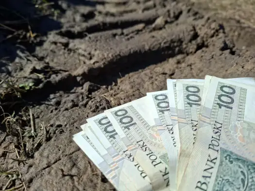 Podatek rolny - Kto płaci, ile i jak obniżyć koszt gruntu?