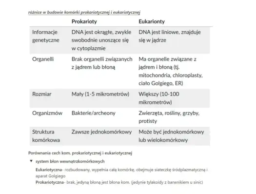 Komórki prokariotyczne i eukariotyczne - czy jądro to jedyna różnica?