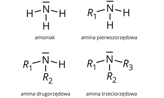Amoniak NH3 - wzór, budowa i najważniejsze właściwości