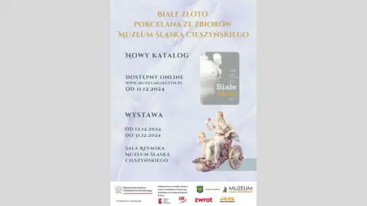 Muzeum Śląska Cieszyńskiego: Godziny, bilety i unikalne skarby
