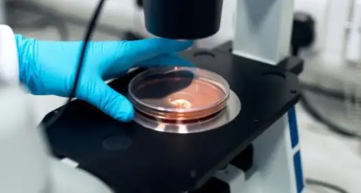 Co to jest laboratorium akredytowane i dlaczego ma to znaczenie?