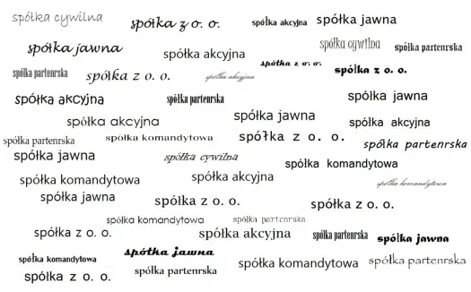 Rodzaje spółek w Polsce - jak wybrać najlepszą formę firmy?