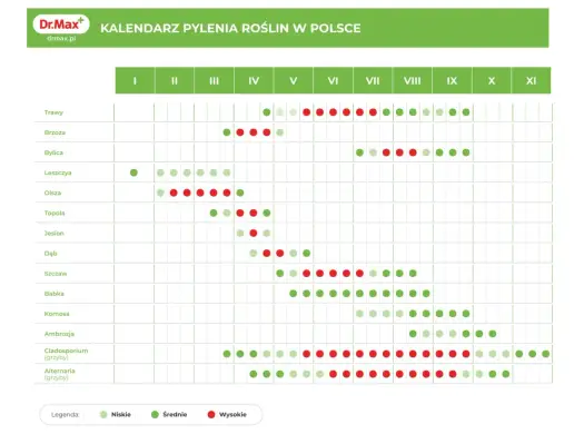 Co pyli w lipcu? Trawy, bylica, chwasty - jak sobie radzić?