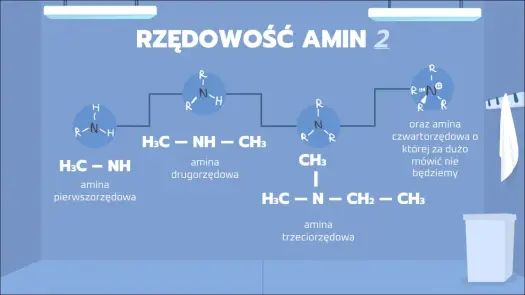 Amidy w chemii organicznej - budowa, nazewnictwo i reakcje