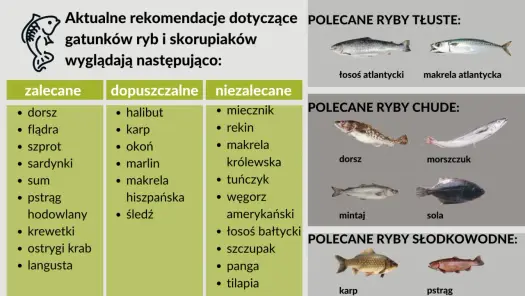 Najzdrowsze ryby - Ranking gatunków i jak je świadomie wybierać?