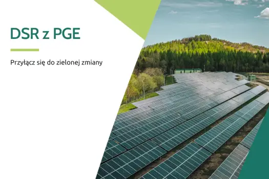 DSR w Polsce - Jak zarabiać na elastycznym poborze energii?